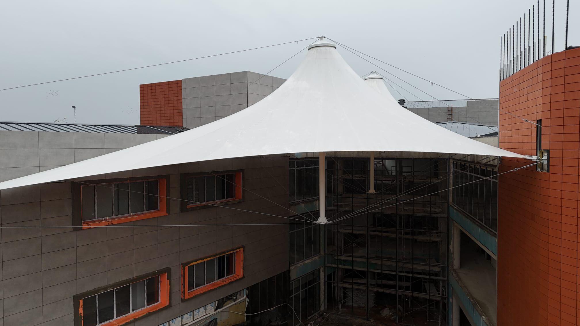 Asma germe membran - Görsel 10