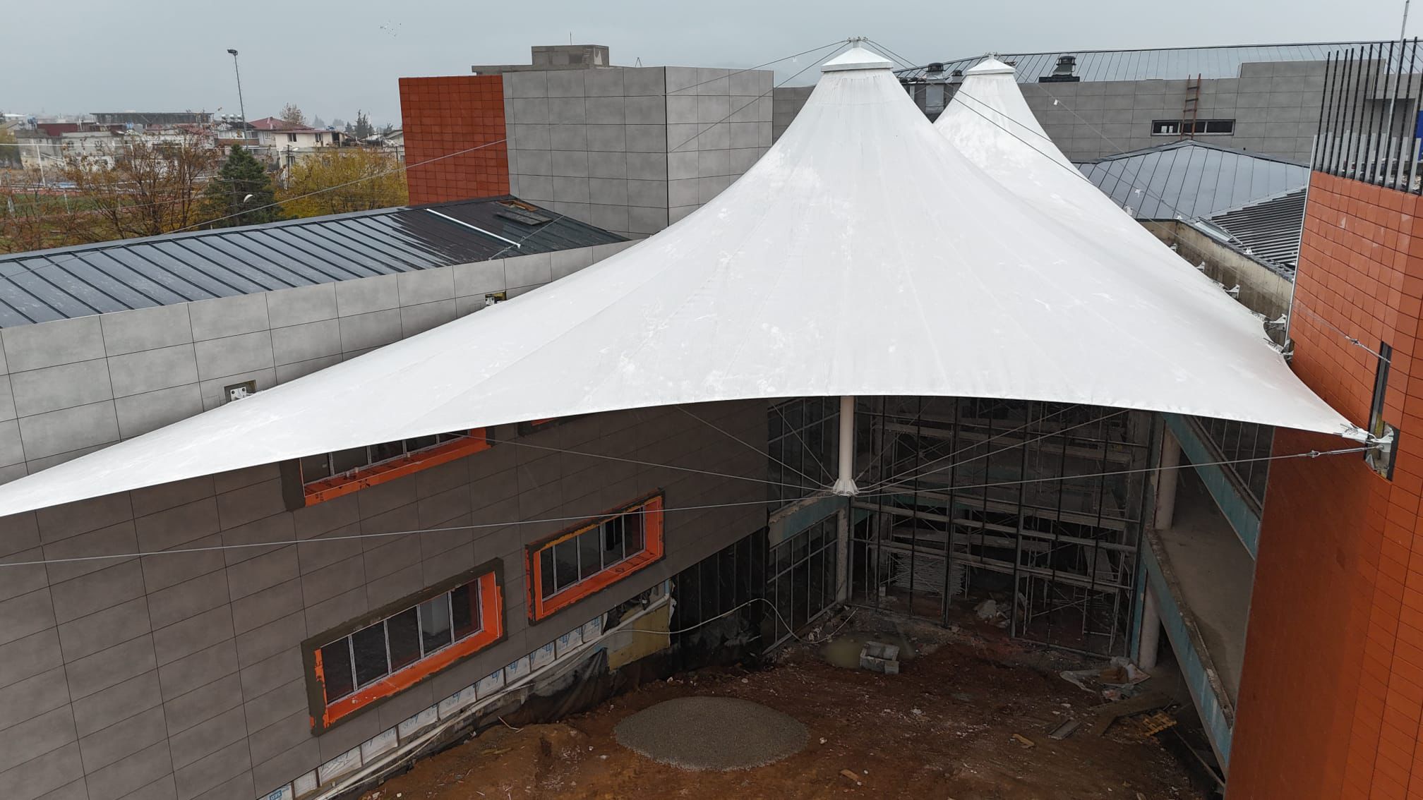 Asma germe membran - Görsel 2