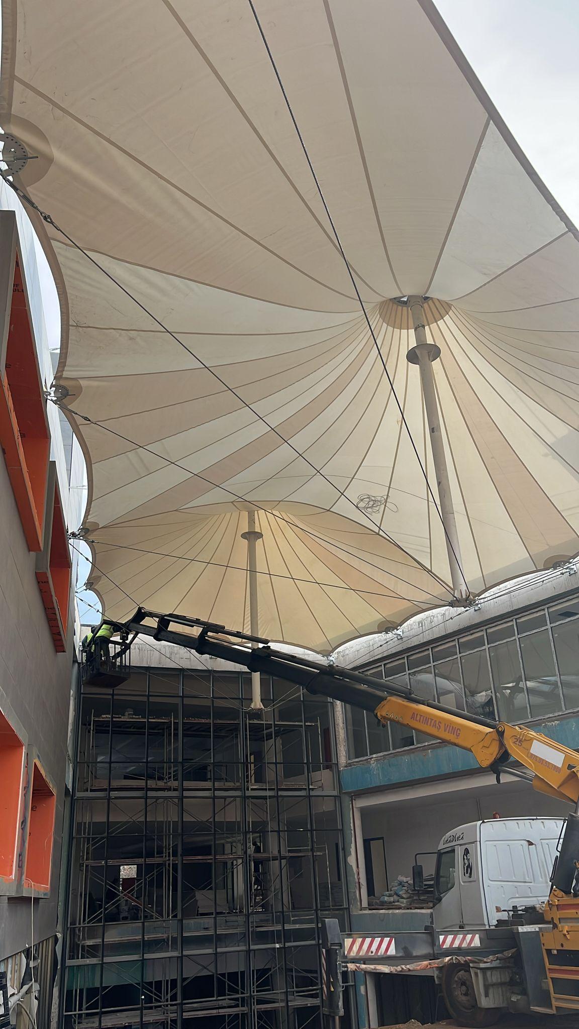 Asma germe membran - Görsel 5