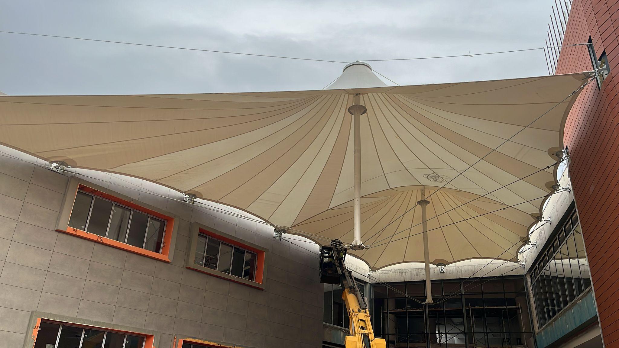 Asma germe membran - Görsel 4